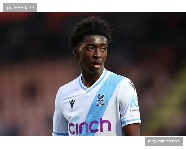 水晶宫老将沃德谈生涯末期:现在的比赛节奏比十年前快了不止一个档次